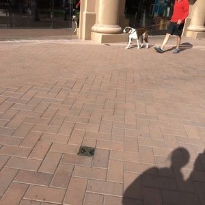 Meet your Posher, Anushka